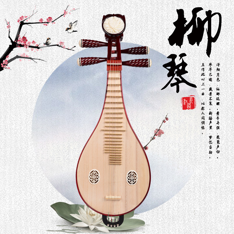 Professional Performance & Gra - Musical Instrument Music recension och pris