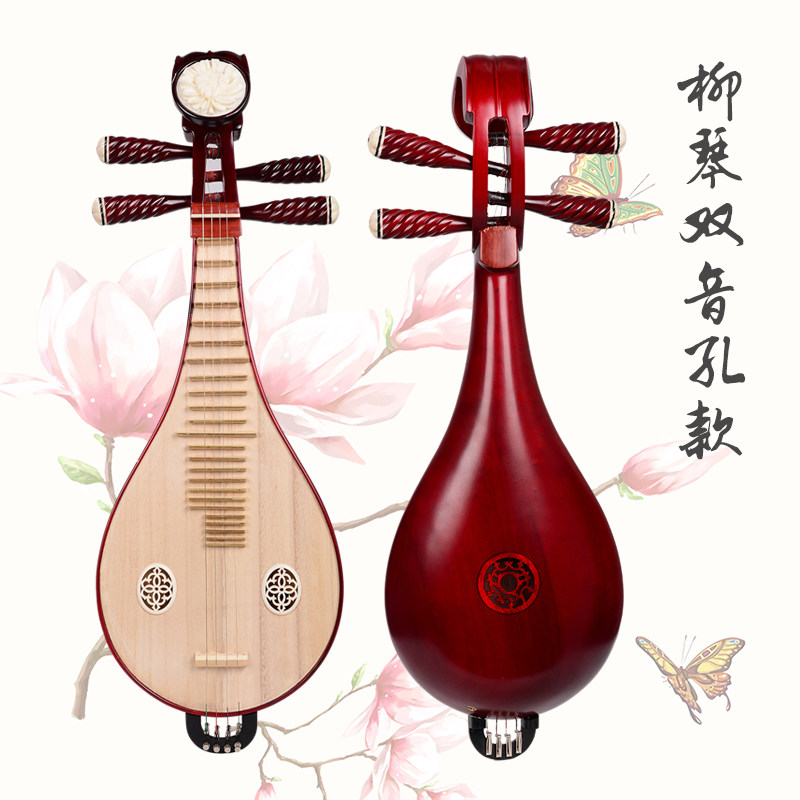 Professional Performance & Gra - Musical Instrument Music recension och pris