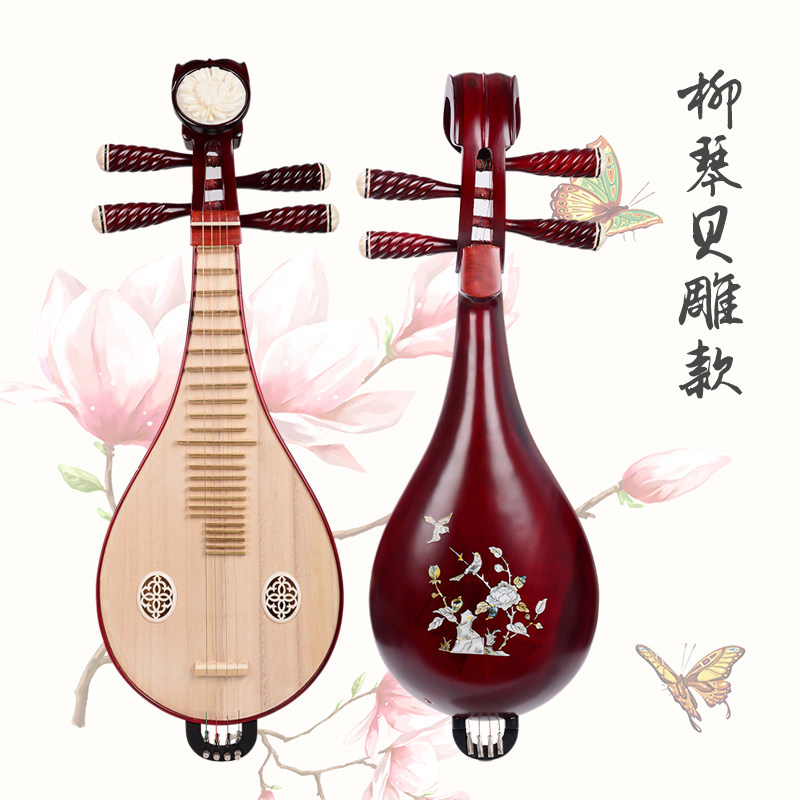 Professional Performance & Gra - Musical Instrument Music recension och pris