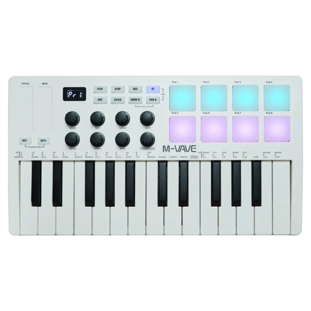 M-VAVE MIDI 25-Key USB MIDI Ke - Musical Instruments Names recension och pris