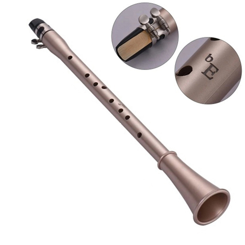 Pocket Saxophone ABS Sax Mini  - Musical Instrument Theremin recension och pris