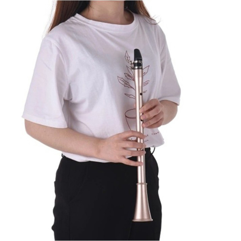 Pocket Saxophone ABS Sax Mini  - Musical Instrument Theremin recension och pris